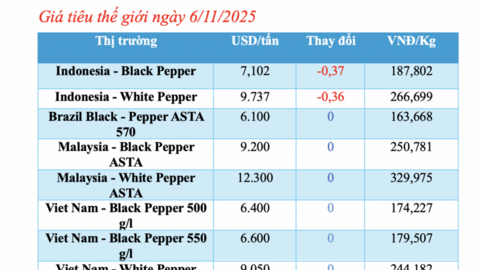 Giá tiêu hôm nay 6/11/2025: Thị trường lặng sóng