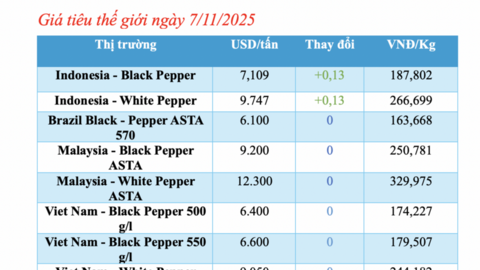 Giá tiêu hôm nay 7/11/2025: Cao nhất 147.000 đồng/kg