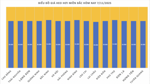 Giá heo hơi hôm nay 7/11/2025: Tiếp tục giảm nhẹ