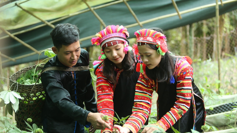 Ngày hội sản phẩm vùng đồng bào dân tộc thiểu số và miền núi phía Bắc