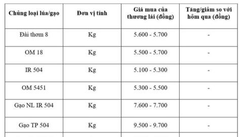 Giá lúa gạo hôm nay ngày 9/11 và tuần qua: Lúa tươi đồng loạt giảm