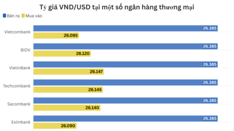 Ngày 12/11: Tỷ giá trung tâm tăng 11 đồng