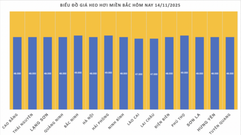 Giá heo hơi hôm nay 14/11/2025: Chững lại trên cả nước