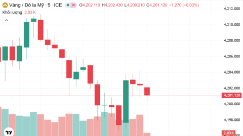 Ngày 14/11: Giá vàng trong nước giảm