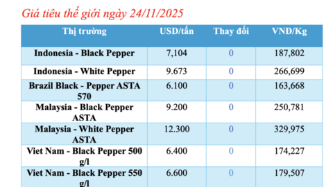 Giá tiêu hôm nay 24/11/2025: Đi ngang