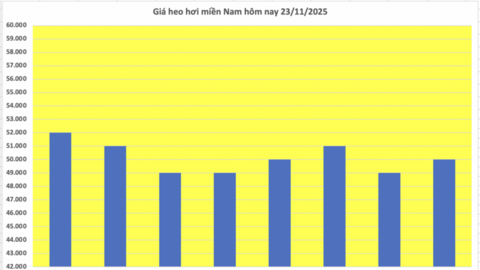 Giá heo hơi hôm nay 23/11/2025: Neo ở mức cao