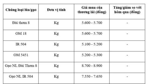 Giá lúa gạo hôm nay ngày 28/11: Thị trường lặng sóng
