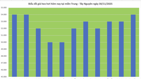 Giá heo hơi hôm nay 30/11/2025: Lặng sóng 3 miền