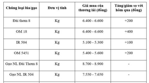 Giá lúa gạo hôm nay ngày 2/12: Lúa tươi đồng loạt tăng mạnh