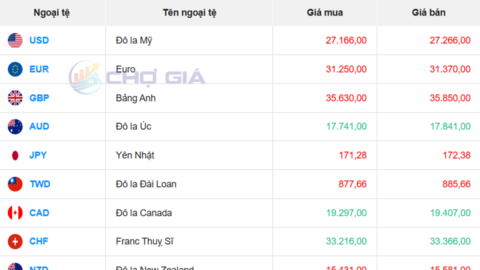 Tỷ giá USD ngày 11/12/2025: USD tự do giảm mạnh