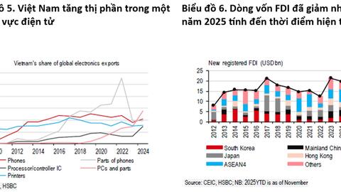 Vượt bão thuế quan: Xuất khẩu bứt phá, tín hiệu lạc quan cho năm 2026