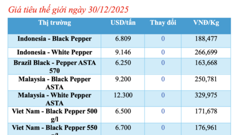 Giá tiêu hôm nay 30/12/2025: Thị trường trầm lắng