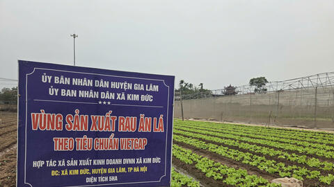 Hà Nội phát triển mạnh kinh tế tập thể, hợp tác xã theo hướng xanh, số