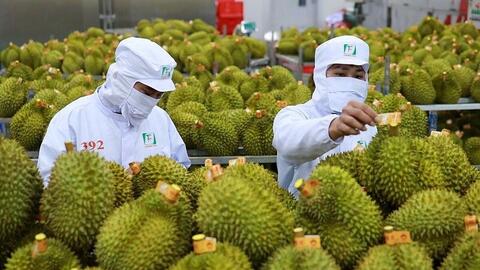 Xuất khẩu nông, lâm, thủy sản Việt Nam trước thời cơ mới