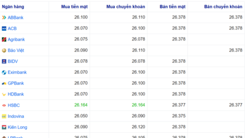 Tỷ giá USD ngày 8/1/2026: Chợ đen giảm mạnh