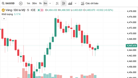 Ngày 9/1: Giá vàng trong nước tăng theo xu hướng giá thế giới