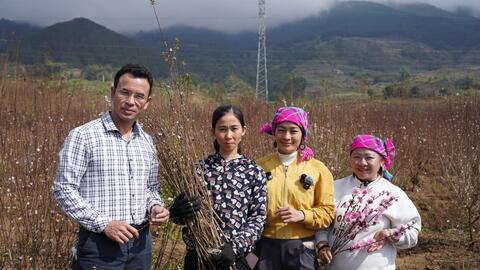 Lai Châu và TikTok Shop phối hợp khởi động mô hình xã thương mại điện tử “Bình Lư vươn mình”