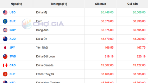 Tỷ giá USD hôm nay 6/2/2026:  Ổn định