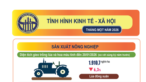 Tình hình kinh tế - xã hội tháng 1/2026
