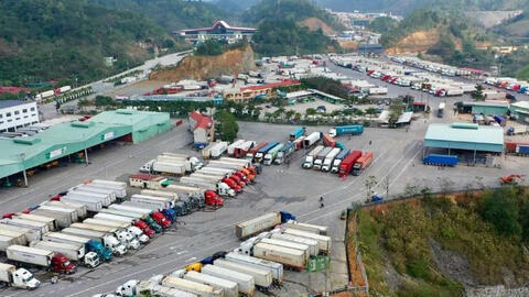 Cập nhật tin xuất nhập khẩu qua các cửa khẩu Lạng Sơn ngày 12/2/2026