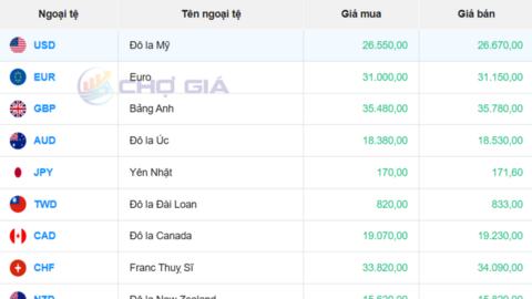 Tỷ giá USD ngày 15/2/2026: 'Chợ đen' biến động mạnh