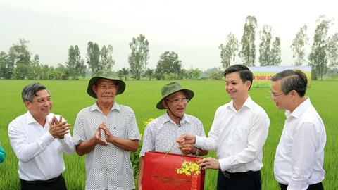Cần Thơ phát động Tết trồng cây, kỳ vọng vụ lúa Đông Xuân thắng lợi