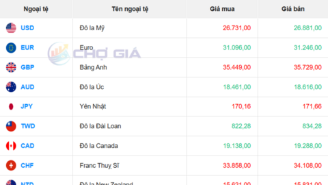 Tỷ giá USD hôm nay 19/2/2026: 'Chợ đen' trái chiều