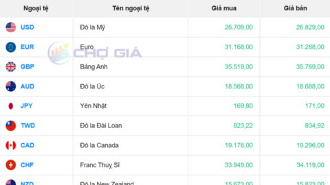 Tỷ giá USD hôm nay 24/2/2026: USD thế giới suy yếu nhẹ