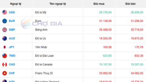 Tỷ giá USD hôm nay 25/2/2026: Ngân hàng nhích nhẹ