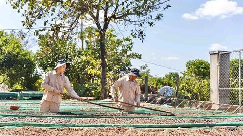 Gia Lai hỗ trợ doanh nghiệp xuất khẩu trước biến động từ Trung Đông