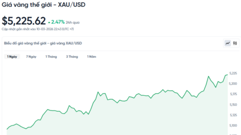 Giá vàng hôm nay ngày 11/03/2026: Tăng trở lại
