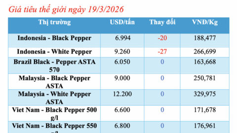 Giá tiêu hôm nay 19/3/2026: Lao dốc, rớt giá đến 5.000 đồng/kg