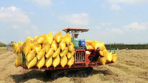 ‏Khi dòng vốn ngân hàng trở thành “chìa khóa” tăng trưởng kinh tế tỉnh An Giang‏‏ ‏