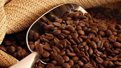 Xuất khẩu cà phê sang Nhật Bản chịu áp lực cạnh tranh