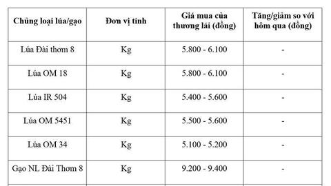 Giá lúa gạo hôm nay ngày 11/4: Thị trường ít biến động