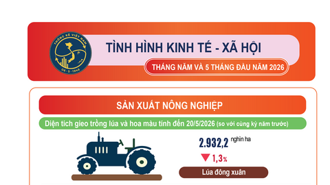 Tình hình kinh tế - xã hội 5 tháng đầu năm 2026