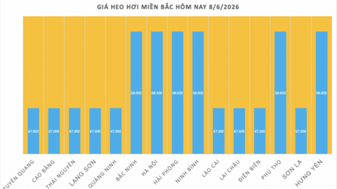 Giá heo hơi hôm nay 8/6/2026: Duy trì ổn định