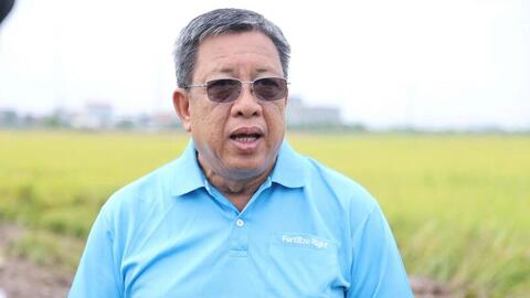Tiêu chuẩn xanh mở đường cho gạo Việt vào các thị trường cao cấp