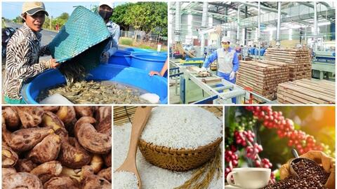 CEO VIETGO: Xuất nhập khẩu có thể vượt mốc 1.000 tỷ USD