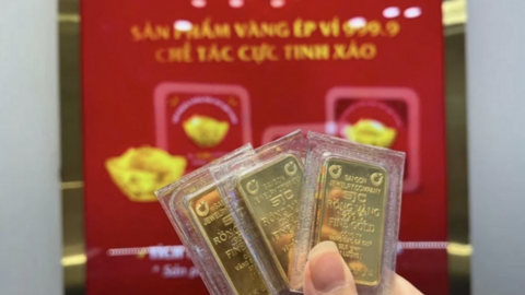 Giá vàng hôm nay 23/7: Vàng miếng 'bốc hơi' tới 1,4 triệu đồng