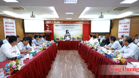 Thứ trưởng Phan Thị Thắng làm việc với Tổng công ty VEAM