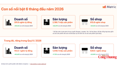 Thương mại điện tử phân hóa lớn, gian hàng nhỏ chật vật kiếm lời