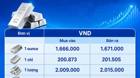 Giá bạc hôm nay 10/8/2026: Hưởng lợi từ nhiều yếu tố