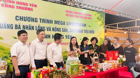 Nhãn lồng Hưng Yên 'bùng nổ' trên livestream, chốt gần 500 đơn hàng