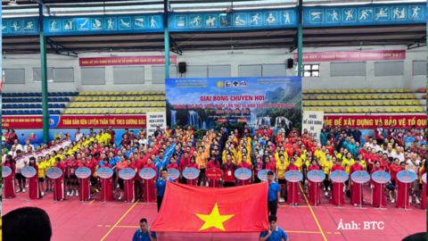 Hơn 700 vận động viên tranh tài Giải Bóng chuyền hơi toàn quốc 2026