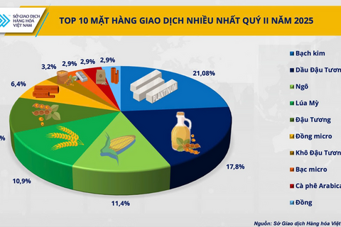Sức mạnh giành thị phần: 5 công ty môi giới hàng hóa giữ vị thế áp đảo