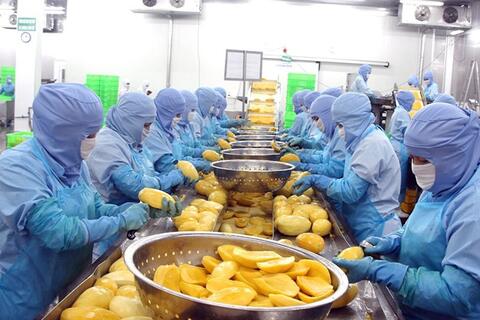 Ngân hàng sẵn sàng nguồn lực tín dụng thúc đẩy kinh tế tập thể tỉnh An Giang