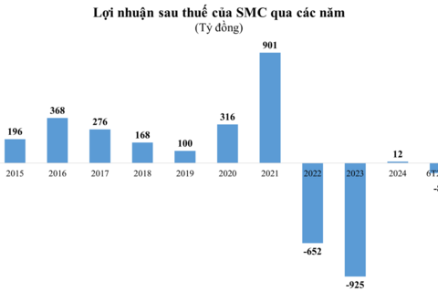 Nhiều doanh nghiệp giảm lãi, lỗ thêm hàng chục tỷ đồng sau kiểm toán