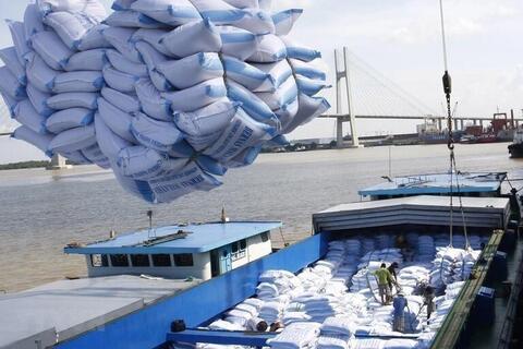 Thủ tướng giao Bộ Công Thương đa dạng hóa thị trường xuất khẩu gạo