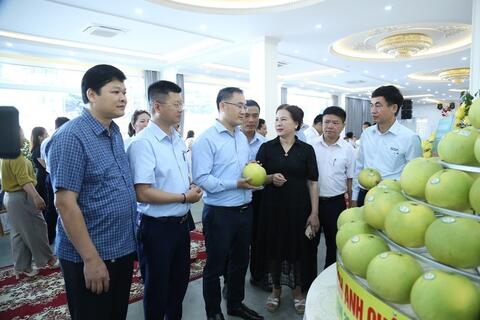 Hà Tĩnh: Xúc tiến thương mại bưởi Phúc Trạch đạt chuẩn hữu cơ